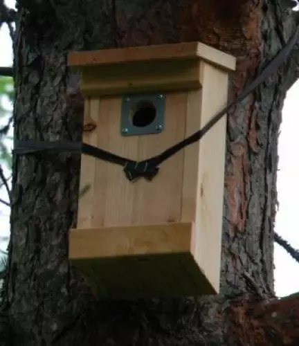 LINTUPÖNTTÖ, EDESTÄ AV. - Loukut ja karkotteet - 6430040624807 - 1